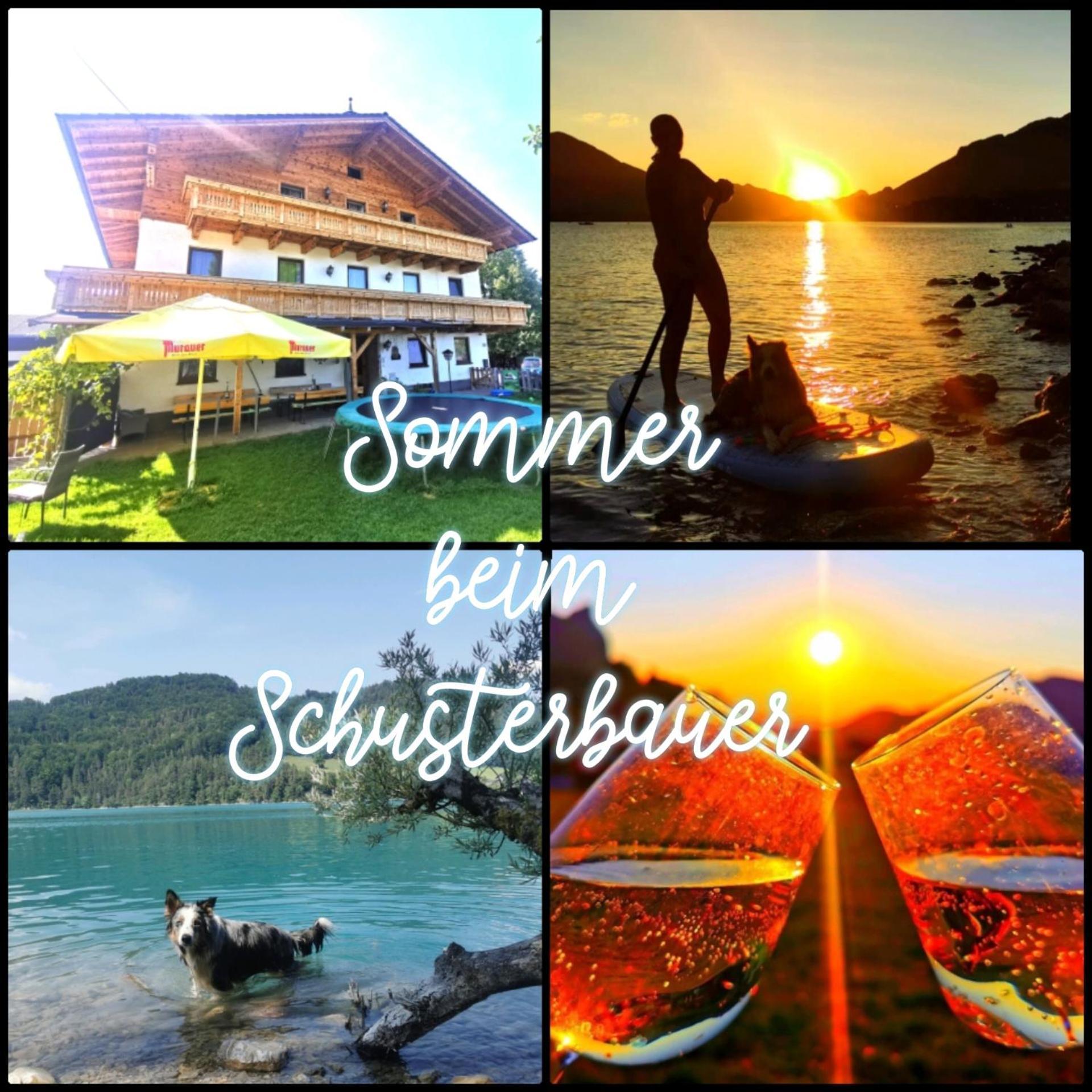 Schusterbauer Villa Koppl Ngoại thất bức ảnh