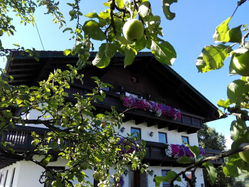 Schusterbauer Villa Koppl Ngoại thất bức ảnh