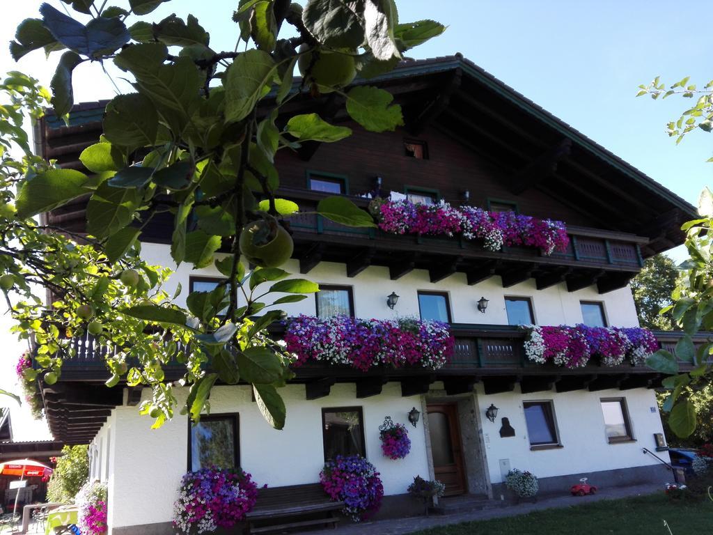 Schusterbauer Villa Koppl Ngoại thất bức ảnh