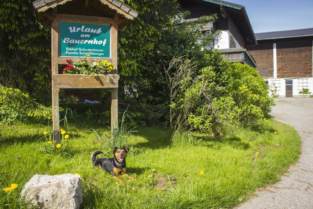 Schusterbauer Villa Koppl Ngoại thất bức ảnh