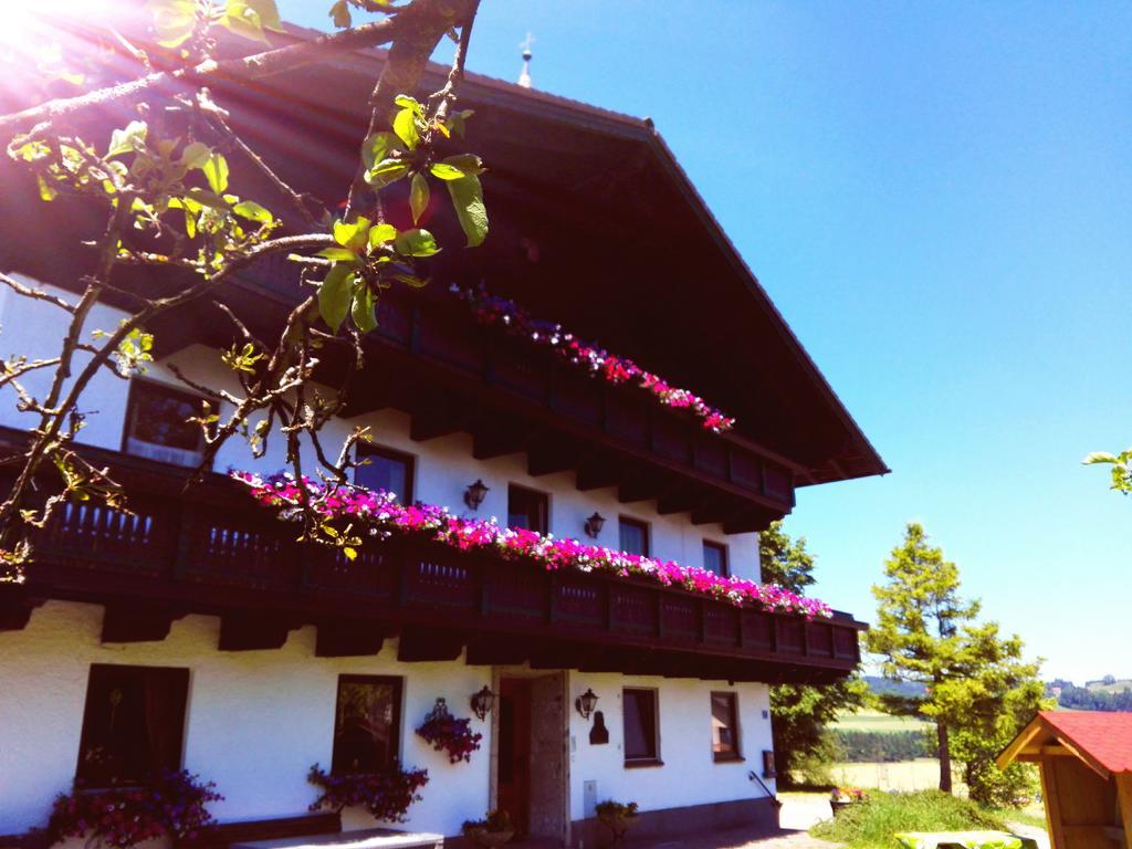 Schusterbauer Villa Koppl Ngoại thất bức ảnh