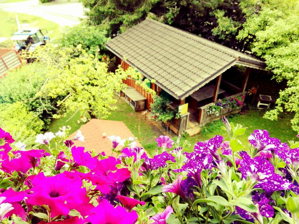 Schusterbauer Villa Koppl Ngoại thất bức ảnh